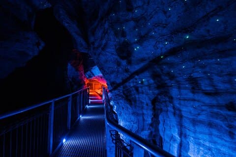 Ruakuri Cave og Hamilton Gardens privat dagstur fra Auckland