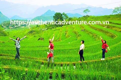 Tour de 9 dias pelo Vietnã | Explore o Norte e o Centro | Melhores Pacotes