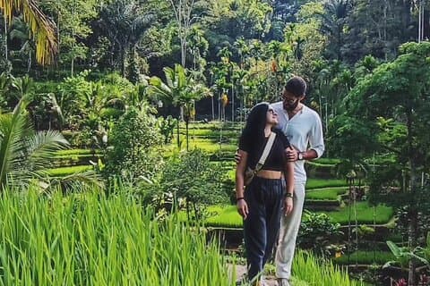 Privat Charter till höjdpunkterna i Ubud