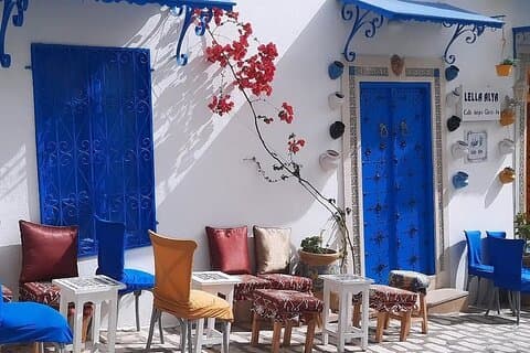 Privat heldagstur til Tunis, Kartago og Sidi Bou Said