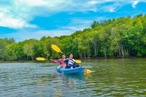 Tour di mezza giornata in kayak tra le mangrovie da Koh Lanta