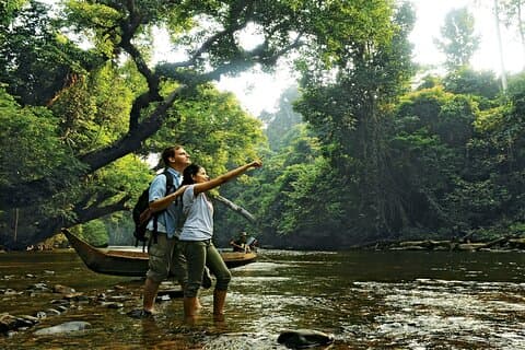 Taman Negara National Park Dagstur fra Kuala Lumpur PVT