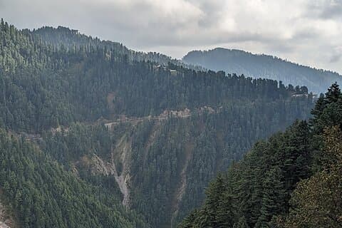 Private Day Tour of Nathiagali from Islamabad with Pick up