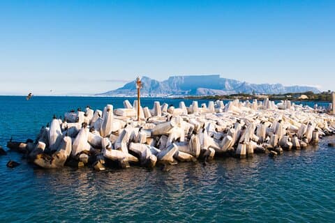 Geführte historische Gefängnistour Robben Island mit Abholung und Rückgabe