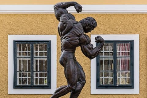 Arnold Schwarzenegger Museum & Graz Private Tour from Vienna