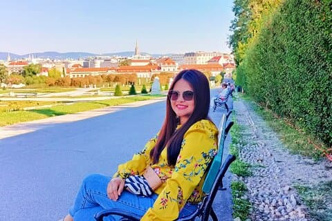 Aspectos destacados de Viena : Tour privado a pie y audioguía Belvedere