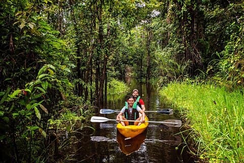 Experience in Amazonas : Eco-rooms on 4D 3N trees