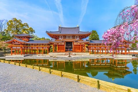 Nara Deer Park, Uji Matcha, & Hot Spring Full-Day Tour from Osaka