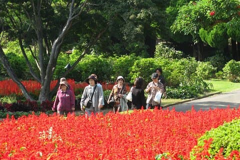 Kleuren van Japan, Fukuoka Nokonoshima Island Park & Wagyu BBQ