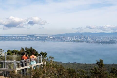 Auckland to Rangitoto Island Ferry