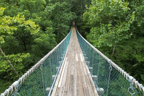 Hike explore and more in The Great Smoky Mountains