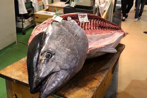 Tour gastronomico privato al mercato ittico di Tsukiji a Tokyo