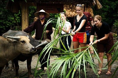 Discover Ninh Binh’s Highlights Hidden Gems 1 Day Motorbike Tour