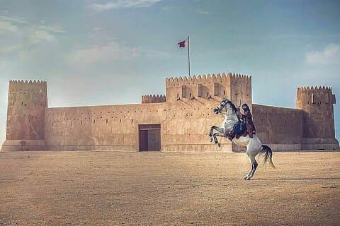 Recorrido por el norte de Qatar: Fuerte Zubara, manglares y aldea de Jumail