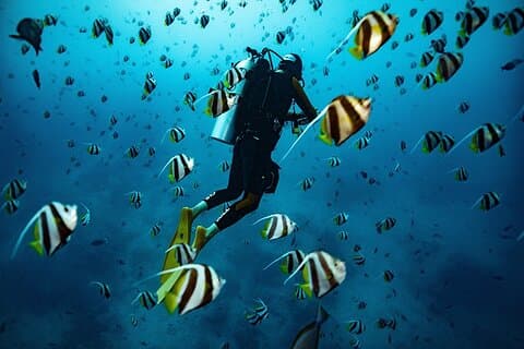 Kauai Scuba Dykning för nybörjare