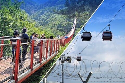 DMZ Rondleiding vanuit Seoul met hangbrug of gondel