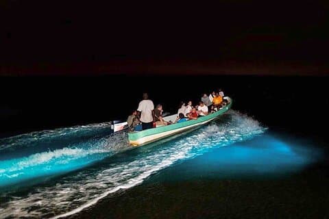 Snorkeling con bioluminescenza e esperienza in barca a Bocas del Toro