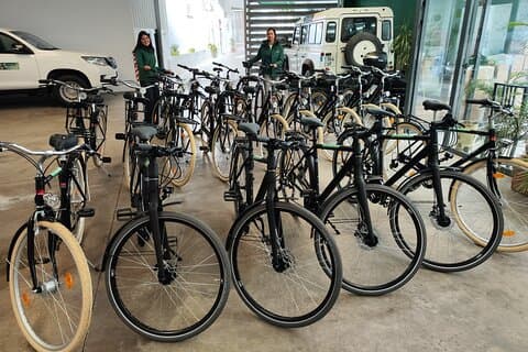 Noleggio bici nel centro di Siviglia
