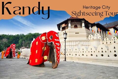 Heritage City Kandy Sightseeing-tur fra Colombo|Negombo|Kandy