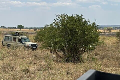 6 giorni Serengeti fly - in safari e vacanza a zanzibar