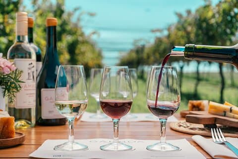 Buenos Aires: cata de vinos y almuerzo en Bodega Gamboa