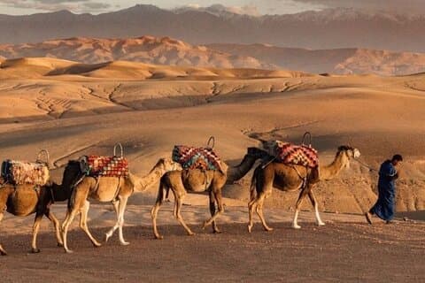 Marrakech: Quad & Camel Ride with Sunset, Dinner & Show
