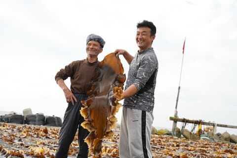 Kelp Fisheries Experience Traditional Japanese Food Culture