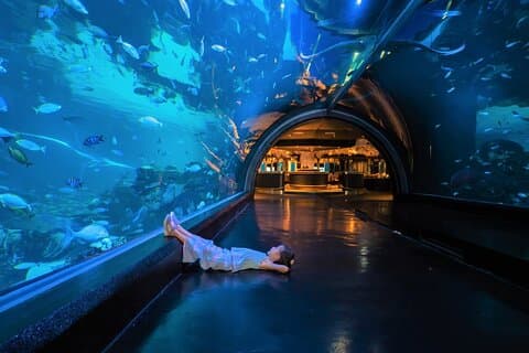 Aquaria og AR Trick Eye Museum-billetter i Phuket