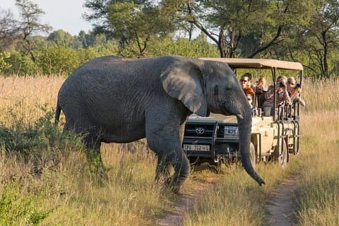Sunset Safari Big 5 Aquila with Snacks and Wine Tasting
