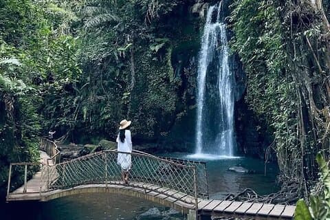 Privat guidet tur: Ubuds beste med Jungle Swing
