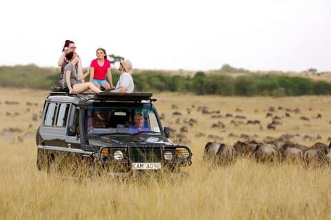Best gewaardeerde 3-daagse Masai Mara Safari – Game Drives en schilderachtige uitzichten