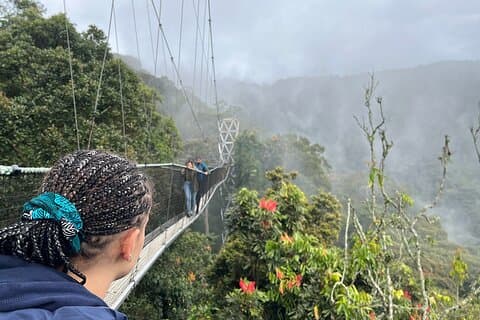 1 jour Nyungwe Canopy Walk & Waterfall Adventure