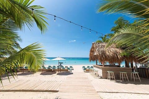 West Bay San Simón Beach Club Day Pass & Sloth Monkey Park