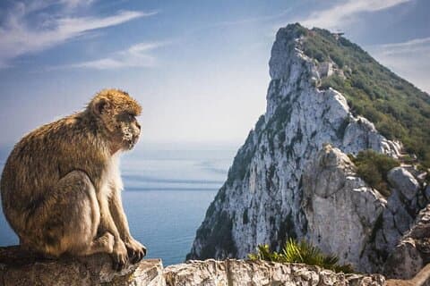 Visite guidée de Séville à la découverte de Gibraltar