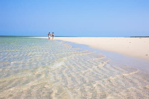 Udforsk Hele dagen Privat tur Strand til strand i Zanzibar
