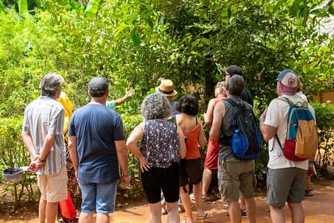 Visite des épices et cours de cuisine à Zanzibar