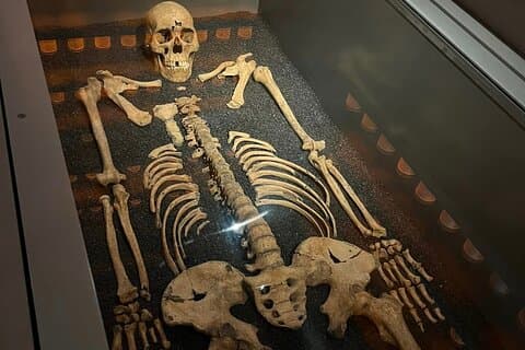 The Great Pest & Black Death Tour of London