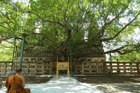 Heldags privat guidad tur i Sarnath från Varanasi