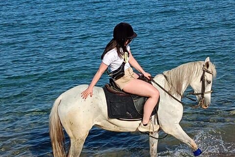 1 time strand ridning i Sharm El Sheikh