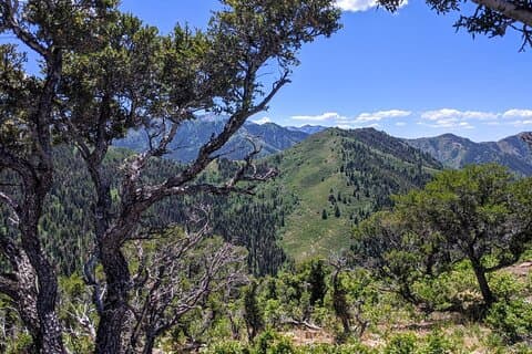 Wandelactiviteit in Park City met lokale gids