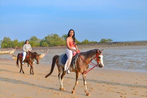 1 Hour Horse Riding Tour On The Beach Krabi