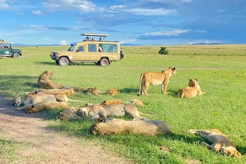 3 Tage Gruppe mit Safari nach Maasai Mara in einem Allrad-JEEP
