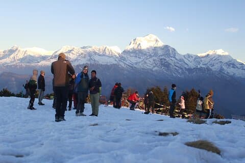 7 dagars tur på Poon Hill Trek och Chitwan Jungle Safari