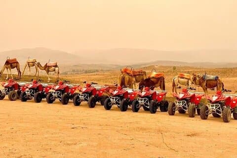 Quad Biking Half Day And Camel Ride In Sunset