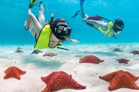 Grand Cayman Coral Reefs och Stingray City Combo Tour