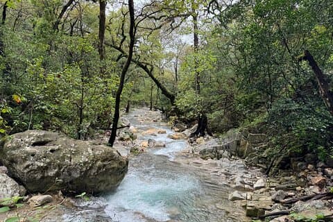 Private Estanzuela Natural Park Hike (Up to 6 ppl)
