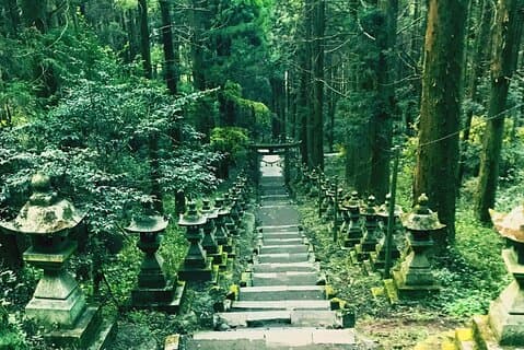 Takachiho Gorge & Kamishikimi Kumanoimasu Shrine Vandringsdagstur