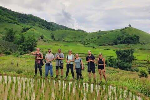 Trekking avec déjeuner cuisiné par Bamboo dans la jungle de Chiang Rai