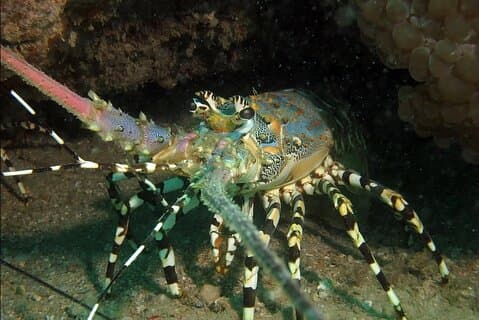 Madagascar Cultural and Natural Wonders Tour