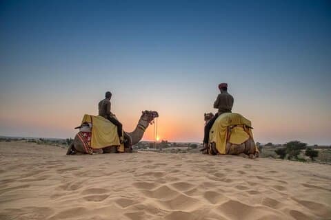 Authentic Camel Safari Experience With Us